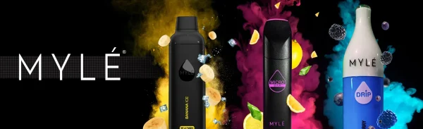 Best Charging Practices For Myle Vape Batteries