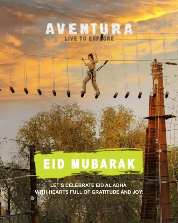 Romantic Outdoor Birthday Party Packages for Couples